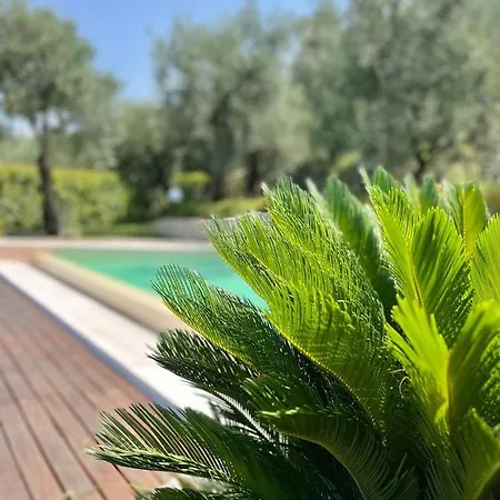 Adriana Holiday home